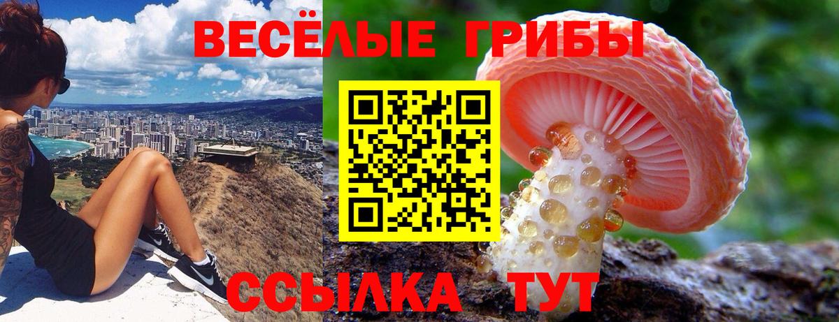 Псилоцибиновые грибы ЛСД Коломна